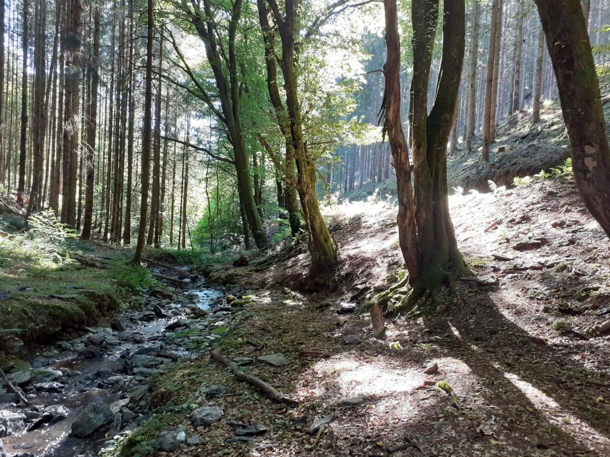 Le Refuge D'Engreux Hotell Houffalize Exteriör bild